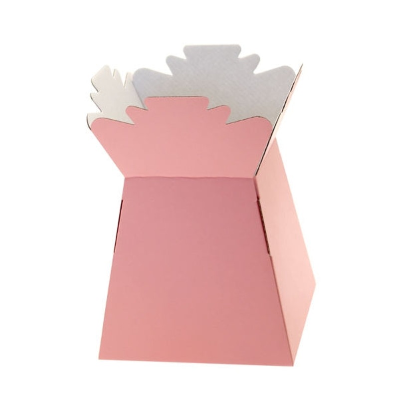 1 Baby Pink Living Vases