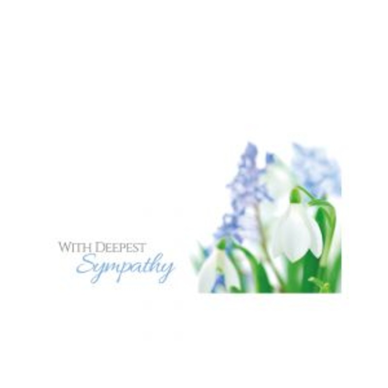 50 Florist Cards With Deepest Sympathy – Muscari Snowdrop 60-00797