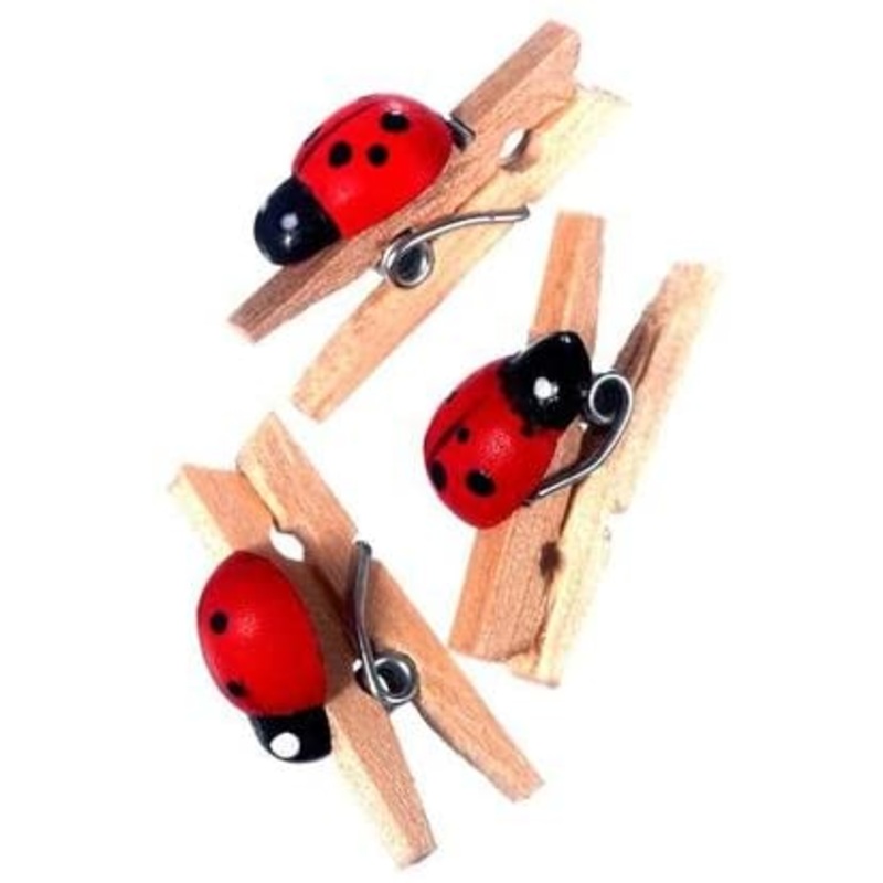 Pack of 20 Red Ladybird Pegs
