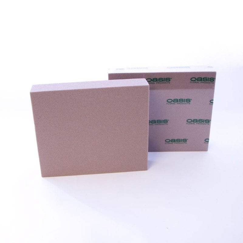 Dry Foam Plate 29 x 25 cm