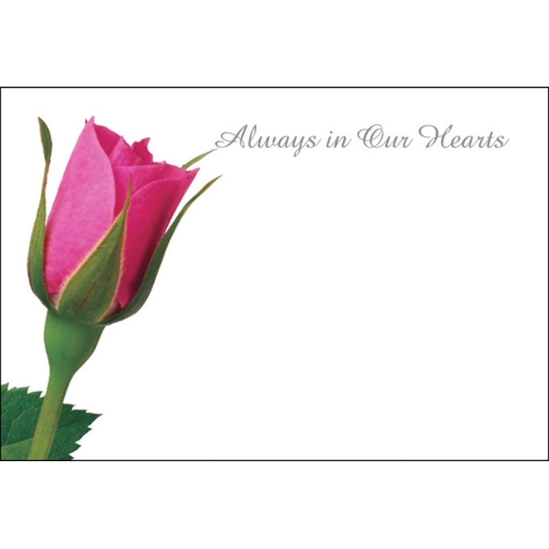Pack of 50 Florist Cards – Always In Our Hearts 60-00078