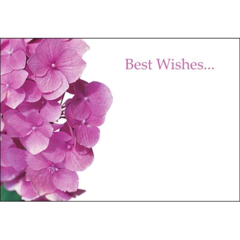 Pack of 50 Florist Cards – Best Wishes Pink Hydrangeas