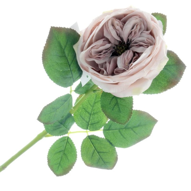 Garden Rose – Antique Mauve x 60cm GR5022