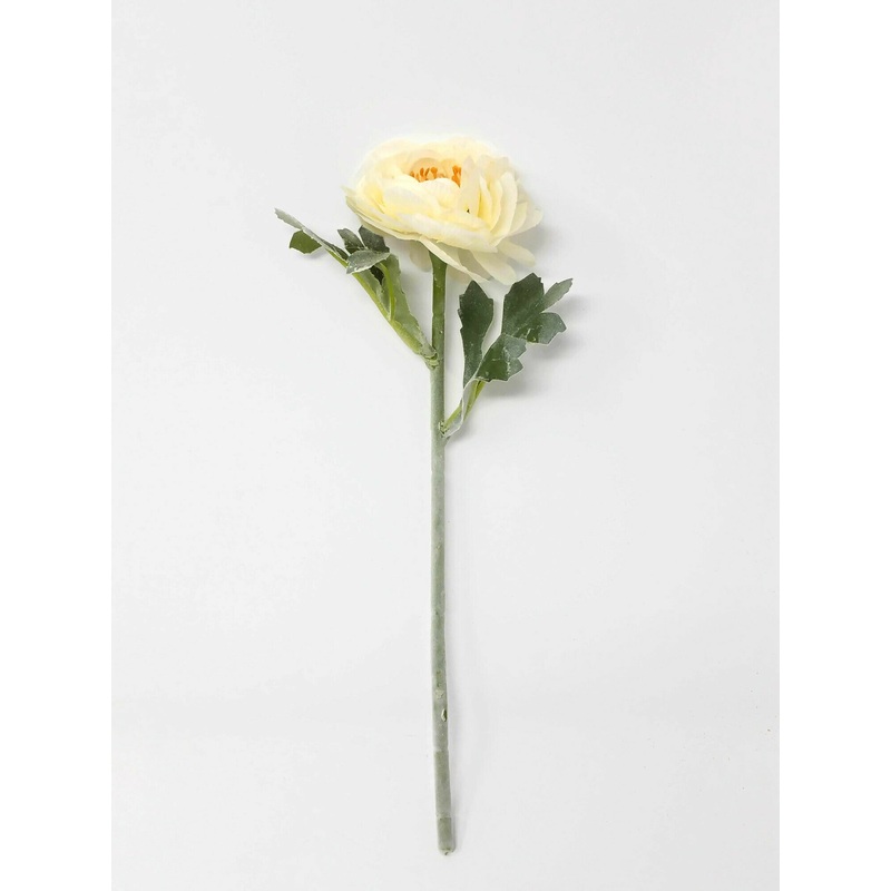 Single Stem Ranunculus Pick x 26cm – Cream