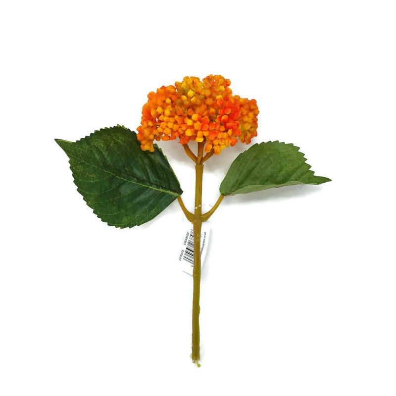 Viburnum Flower Bud Pick x 24cm – Orange