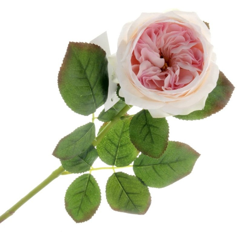 Garden Rose – Light Pink (60cm long)