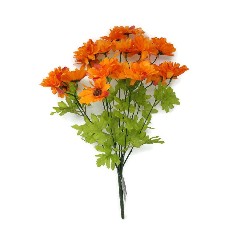 Cosmos Daisy 22 Flower Head Bush – Orange