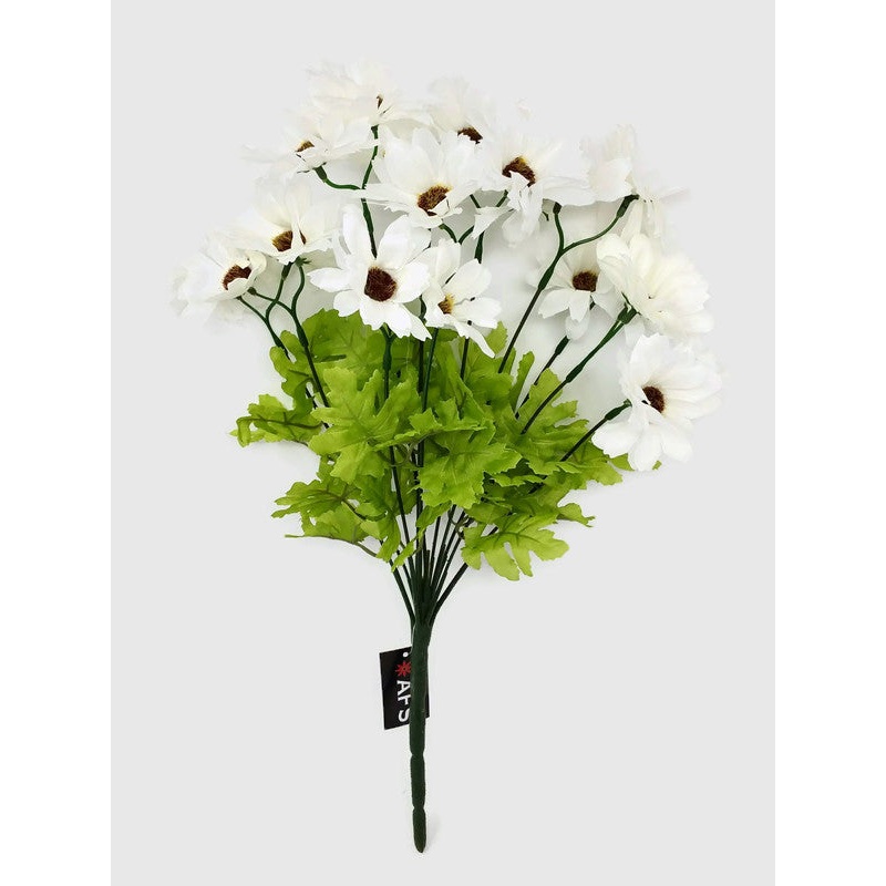 Cosmos Daisy 22 Flower Head Bush – White