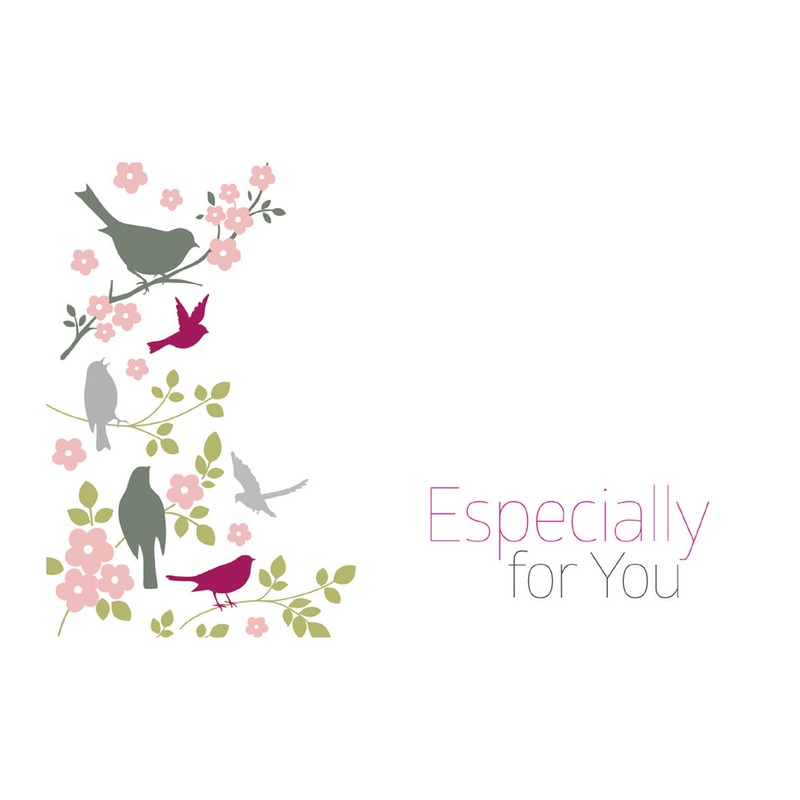 50 Florist Cards – Especially For You – Bird & Branch
