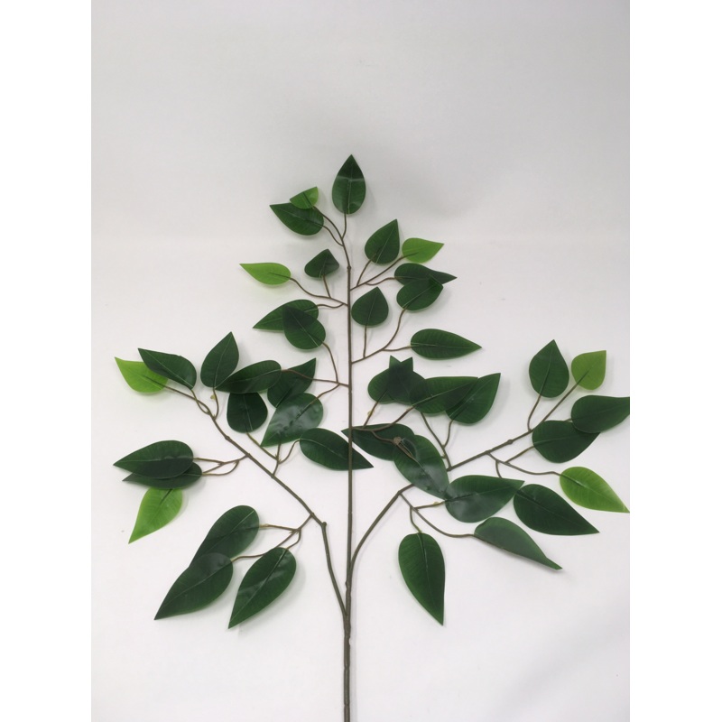 Dark Green Ficus Branch x 62cm