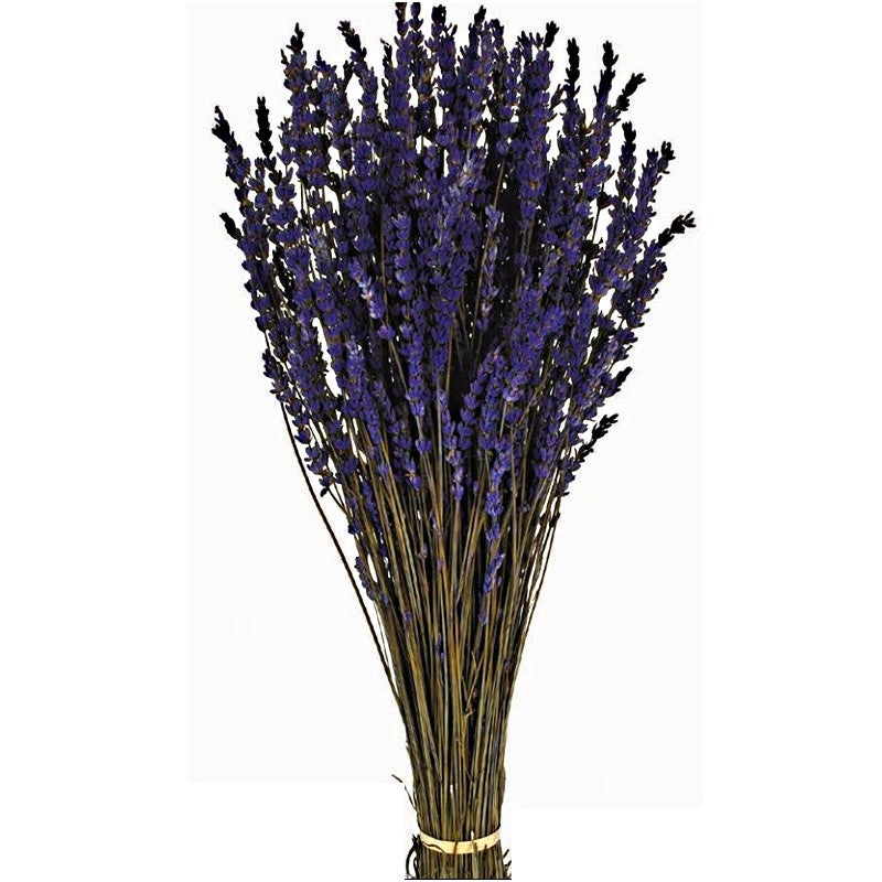 Preserved Natural Lavender Bunch x 50cm – Purple (150g) 051.03