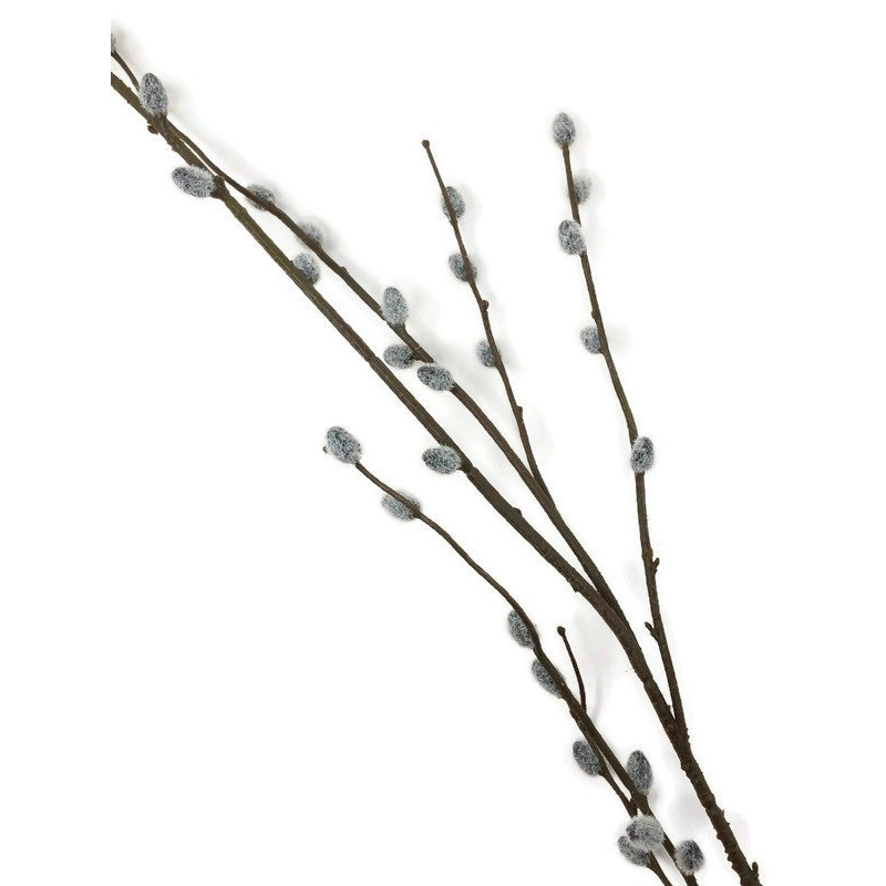 Pussy Willow Spray x 100cm