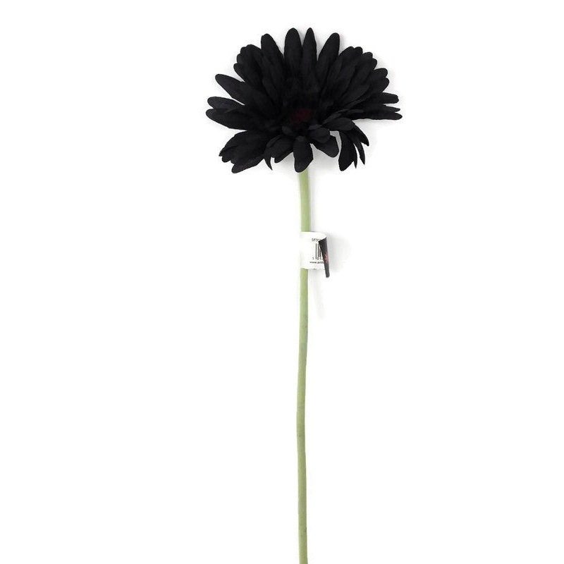 Single Stem Gerbera x 50cm – Black