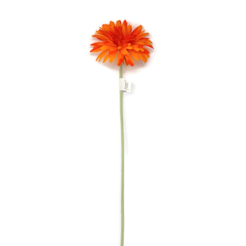Single Stem Gerbera x 50cm – Orange