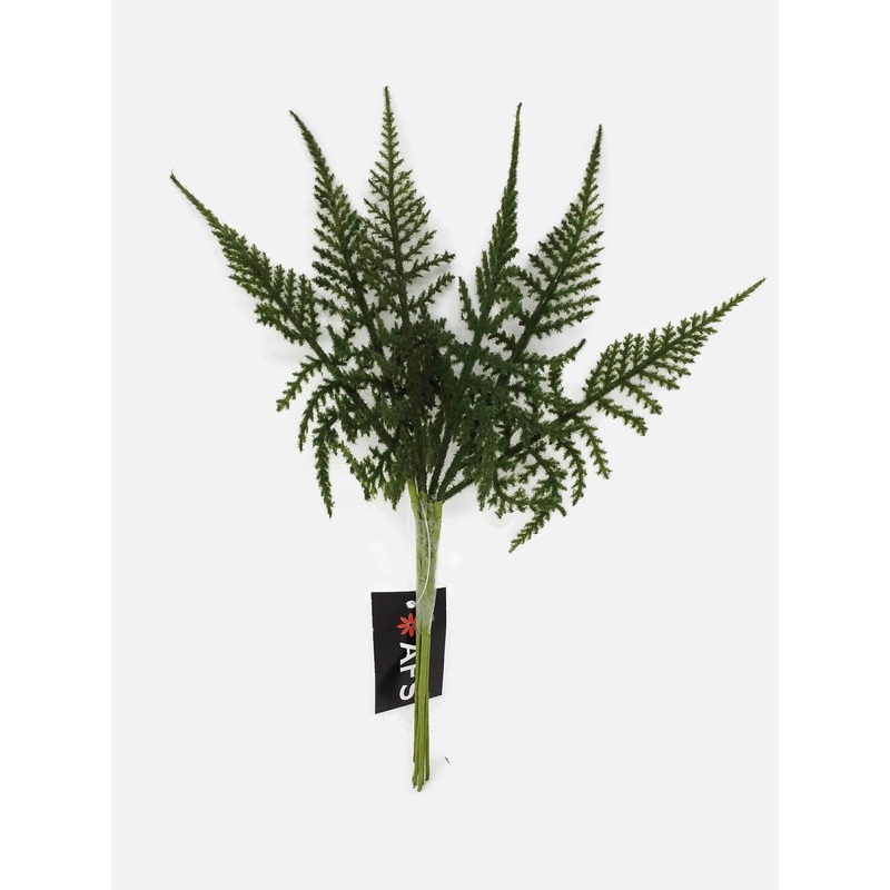 6 Stem Textured Asparagus Fern Bundle x 26cm