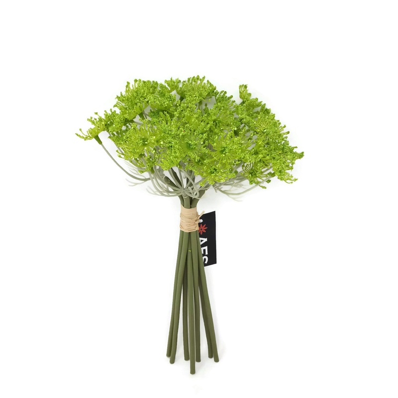 7 Head Queen Anne’s Lace Bunch x 27cm – Green