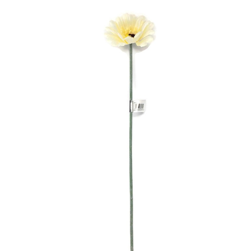 Single Stem Gerbera  50cm – Ivory