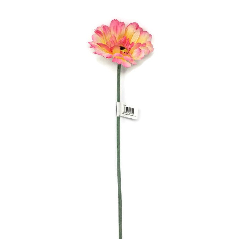 Single Stem Gerbera x 50cm – Pink & Cream