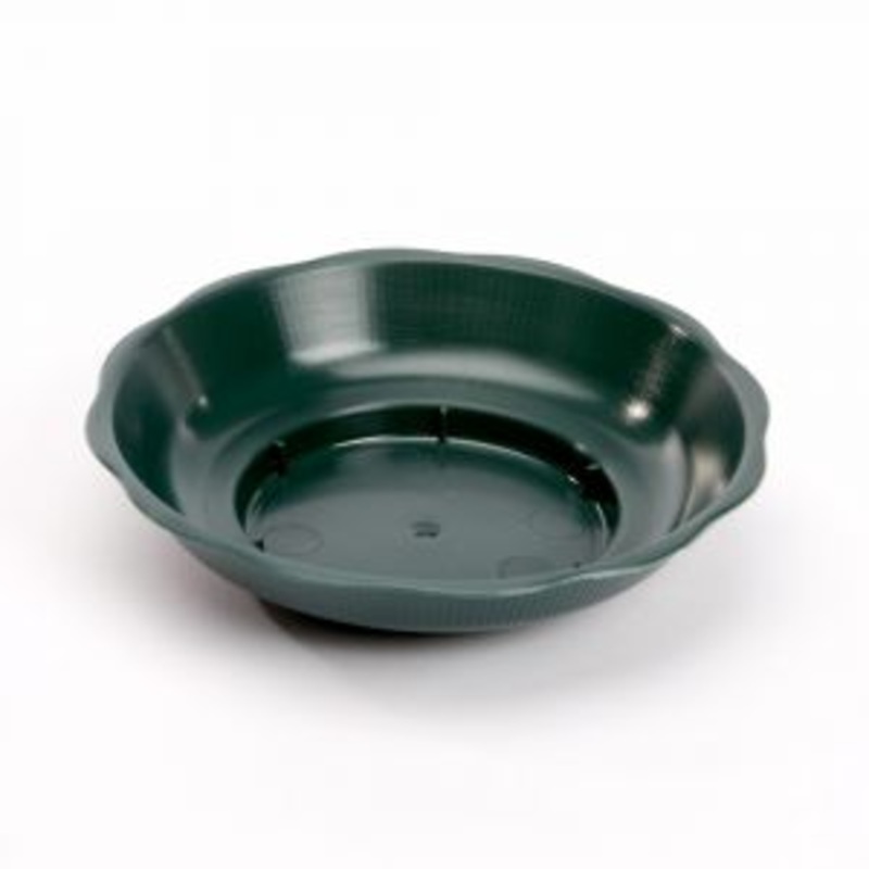 Pop Bowl Green x 25