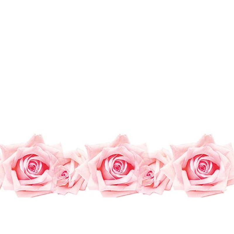 50  Blank  Florist Cards – Pink Roses