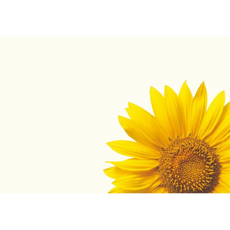 50  Blank Florist Cards – Yellow Sunflower