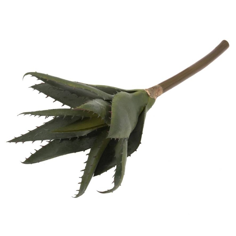 Aloe Vera Succulent 31cm