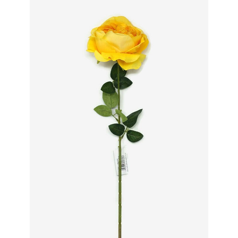 Austin Rose x 68cm – Single Stem – Yellow