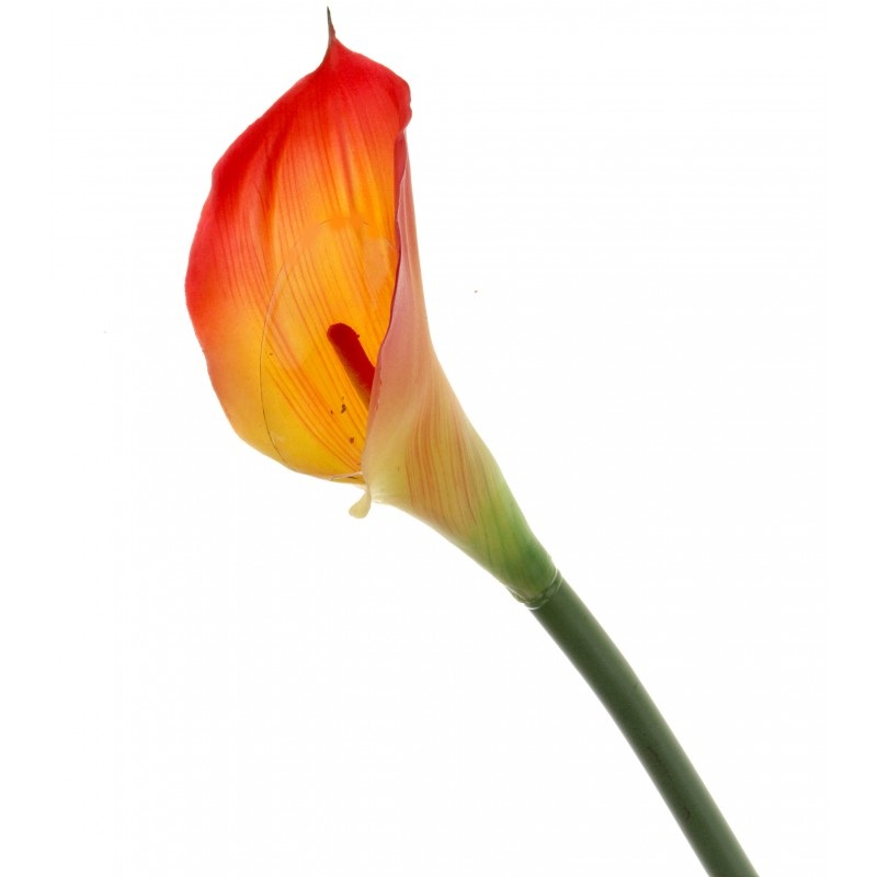 Real Touch Calla Lily x 68cm – Red/Yellow