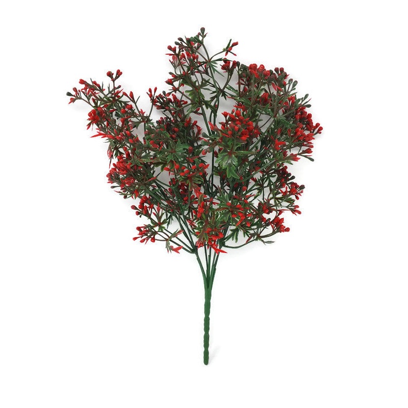 Waxflower Berry Bush x 32cm – Red
