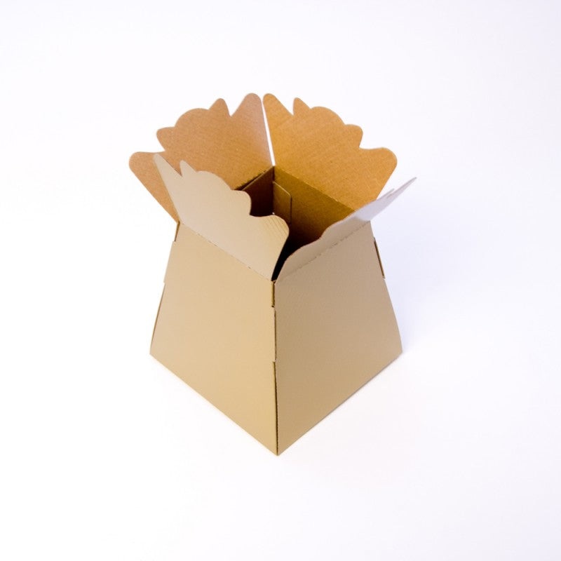 1 Living Vase – Gold