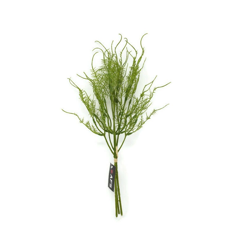 3 Stem Asparagus Fern Bundle x 38cm