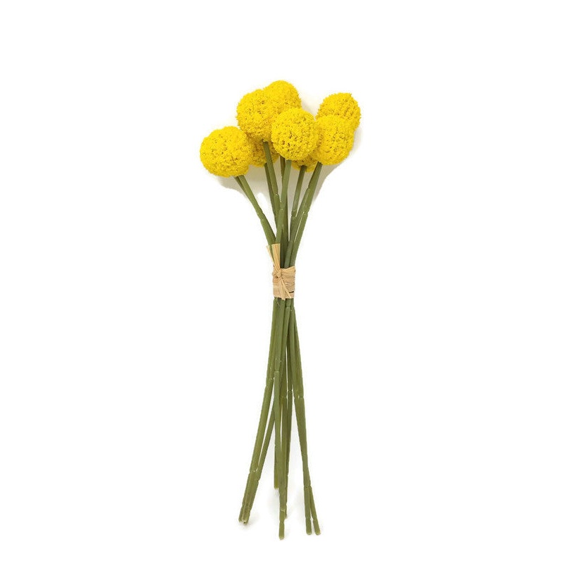 9 Head Craspedia Flower Ball Bunch x 28cm – Yellow