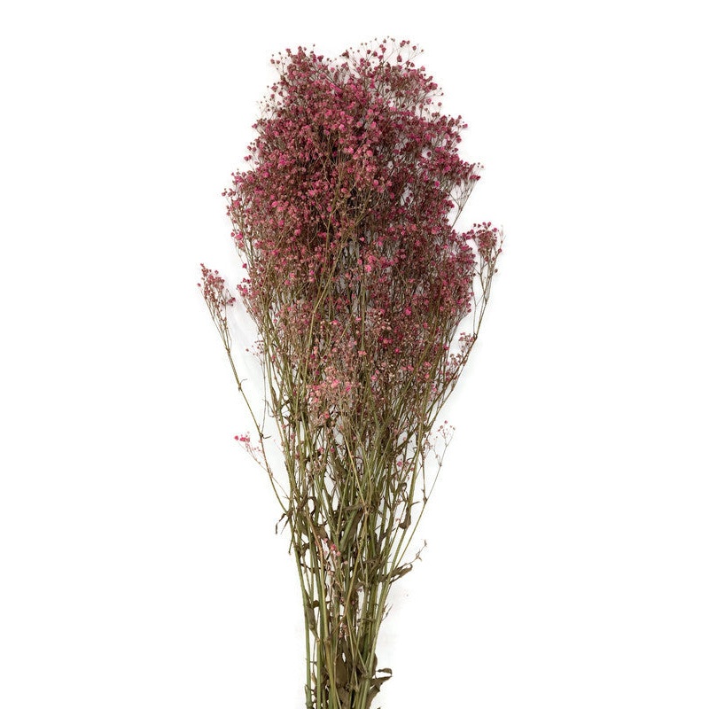 Preserved Gypsophila x 60cm – Pink/Natural – 100g per pack