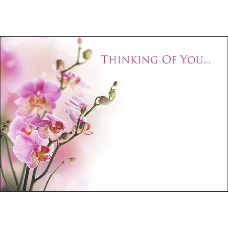 50 Florist Cards – Thinking of You – Orchids