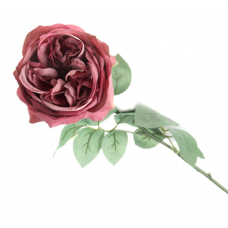 50cm Single Stem Garden Rose – Dusky Pink