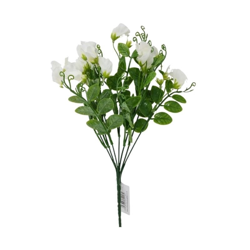 Sweet Pea Bush x 32cm – White