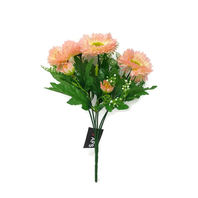 Bellis Gerbera Daisy Flower Bush x 30cm – Pink Champagne