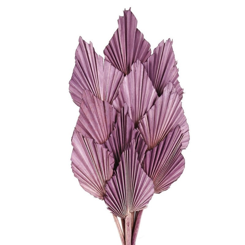 Natural Dried Palm Spear 50cm tall – 10pcs per pk – Lilac