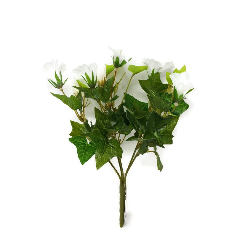 Petunia & Ivy Bush x 30cm – White