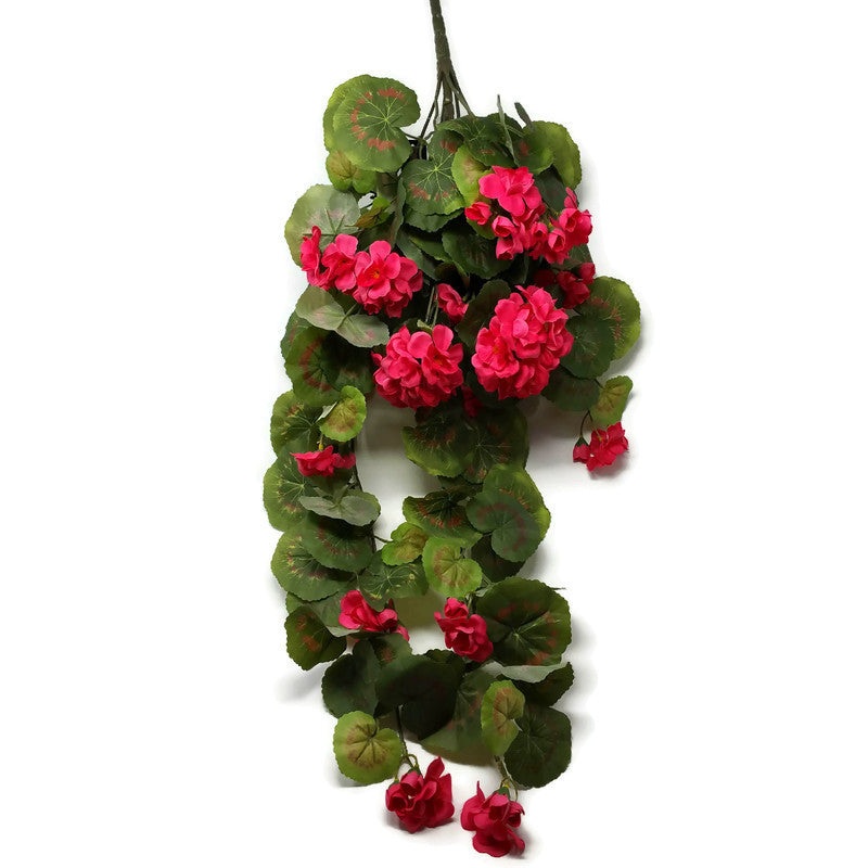 Trailing Geranium x 75cm – Deep Pink