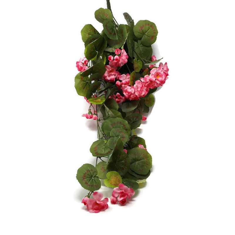 Trailing Geranium x 75cm – Light Pink