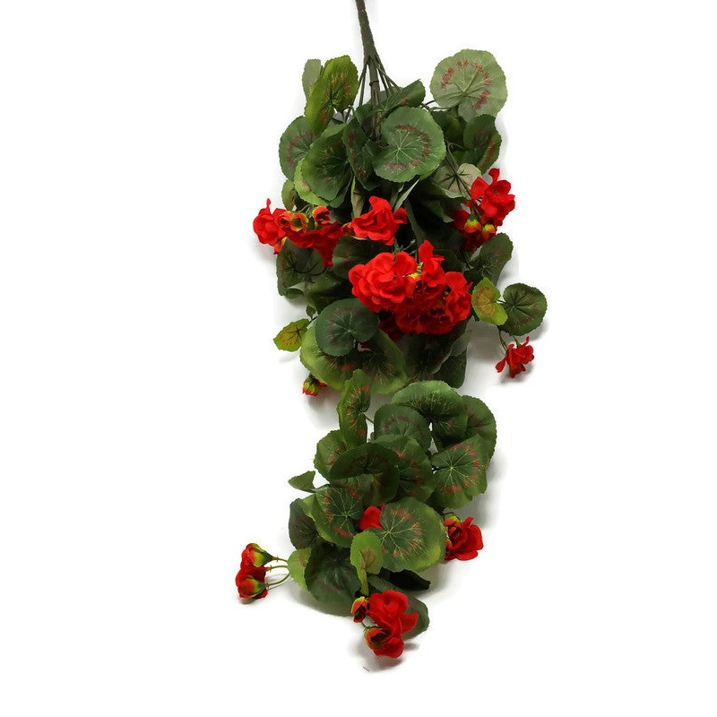 Trailing Geranium x 75cm – Red