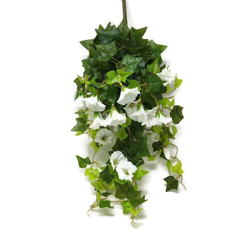 Trailing Morning Glory x 64cm – White