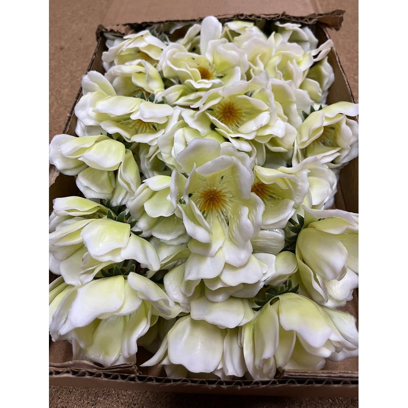 100 White Plastic Hellebore Picks