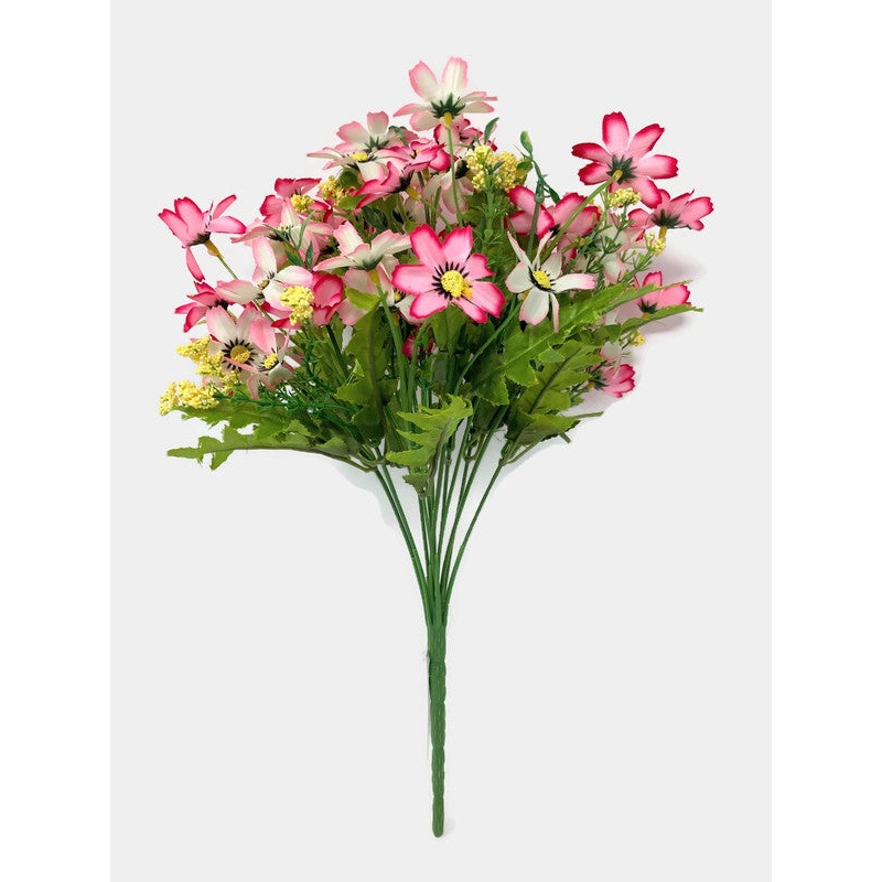 12 Stem Cosmos Daisy Cottage Flower Bush x 36cm – Pink