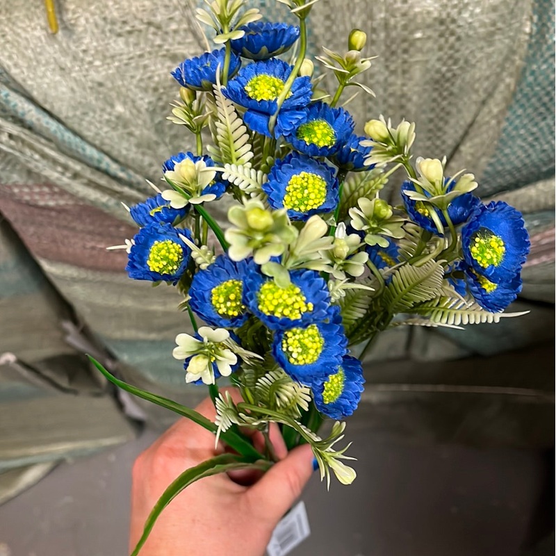 Aster Daisy Flower Bush – Blue