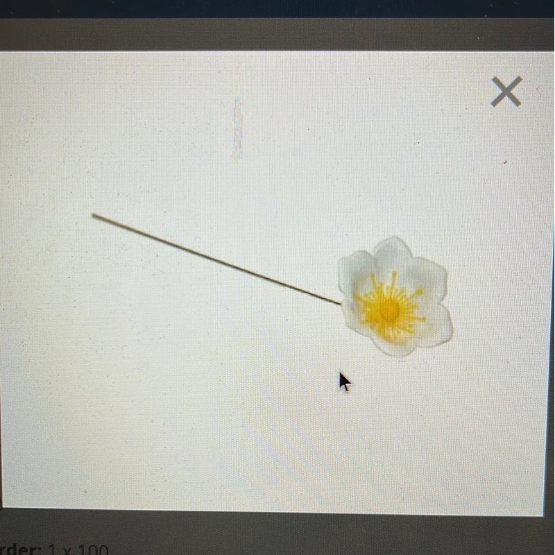 Dcp500 100pcs plastic flowers