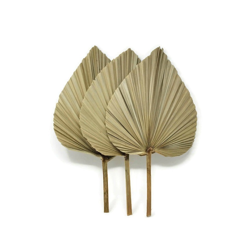 Pack of 3 Dried Natural Shade Palm Spears