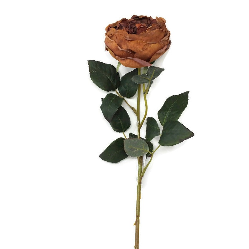 Single Stem Artificial Dried Style Peony x 60cm – Autumn Brown