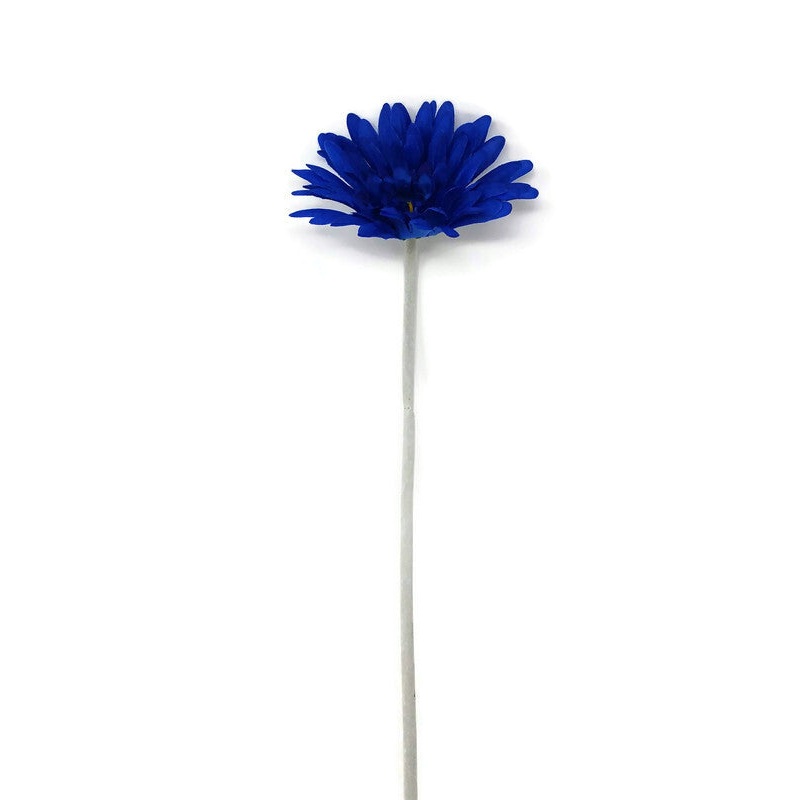 Single Stem Gerbera x 50cm – Royal Blue